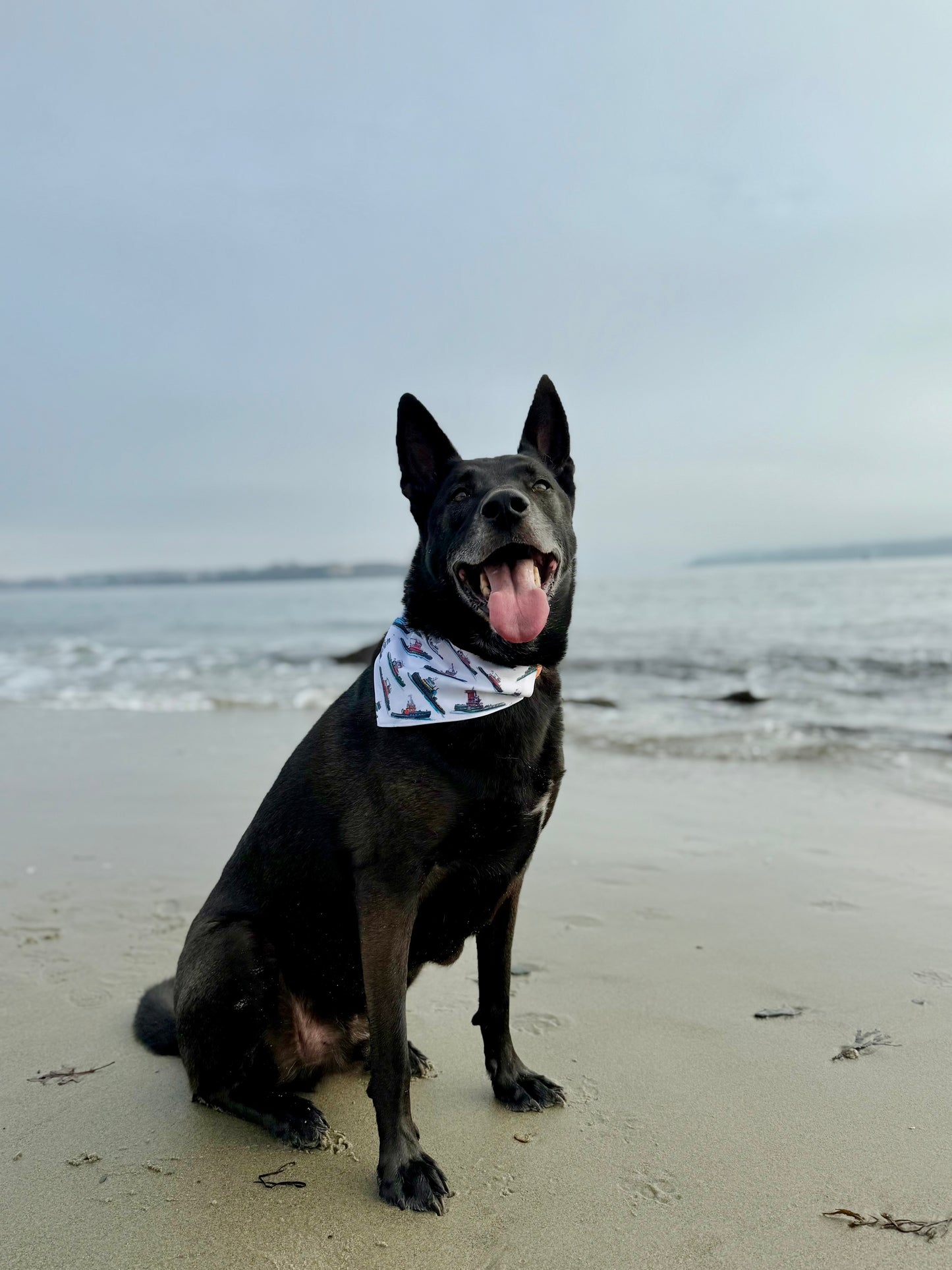 Tugboat Print Dog Bandana