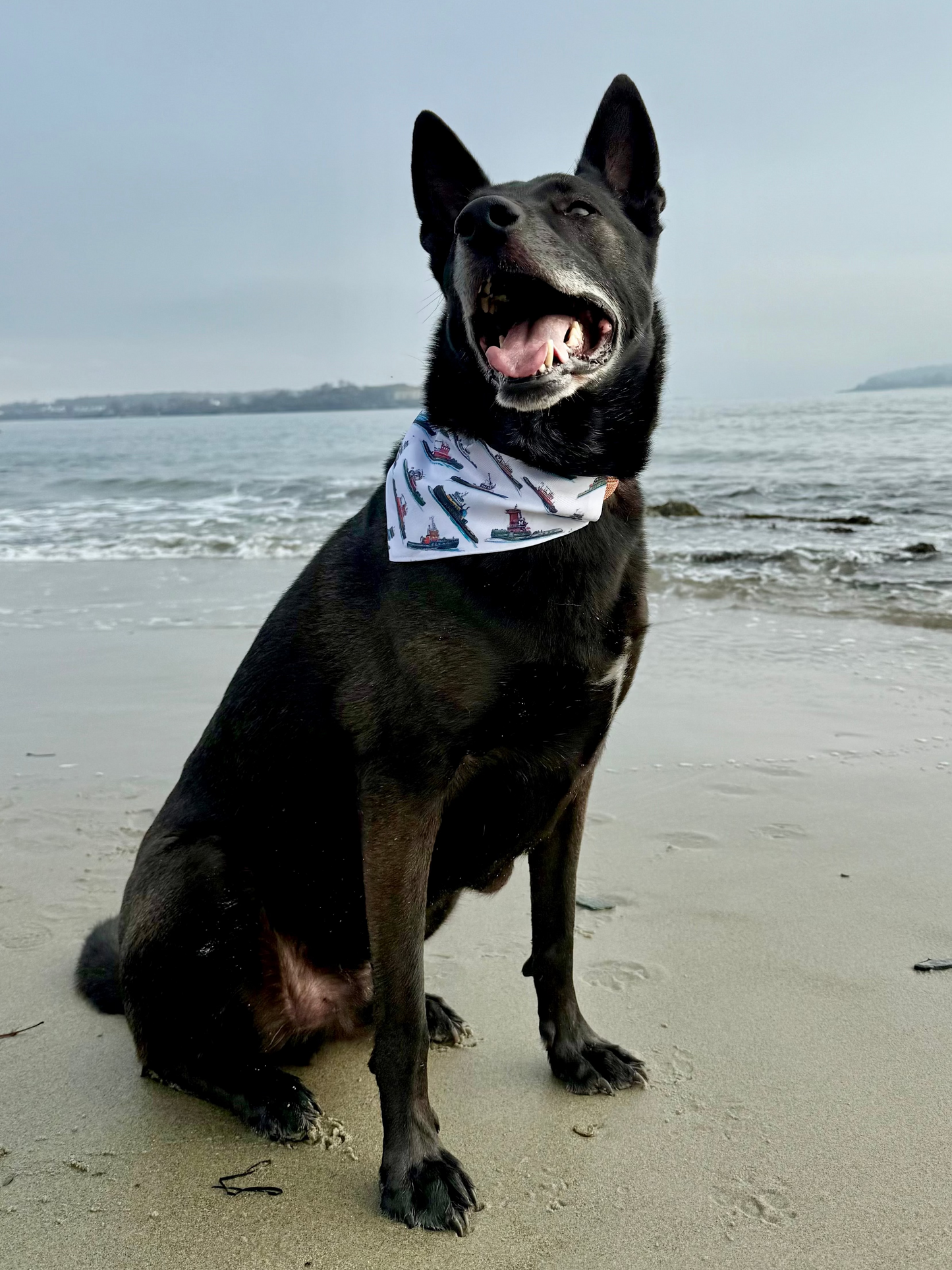 Tugboat Print Dog Bandana